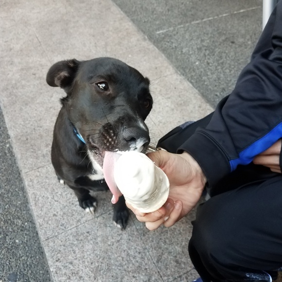 Meet your Posher, Alex - Picture 2 of 6